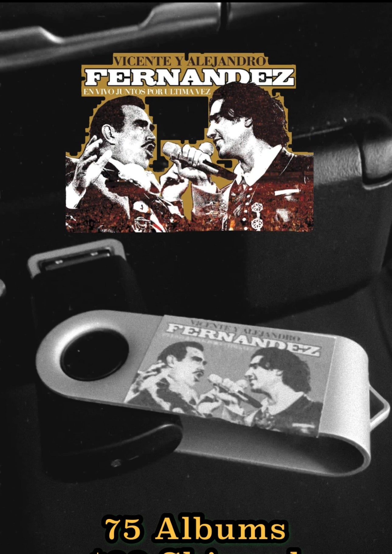 USB Alejandro Fernandez y Vicente Fernandez