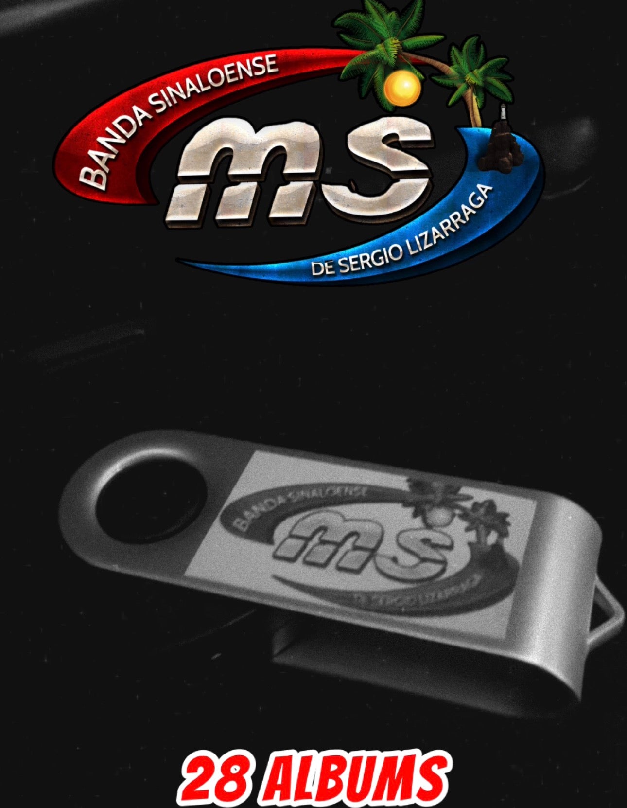 USB Banda MS