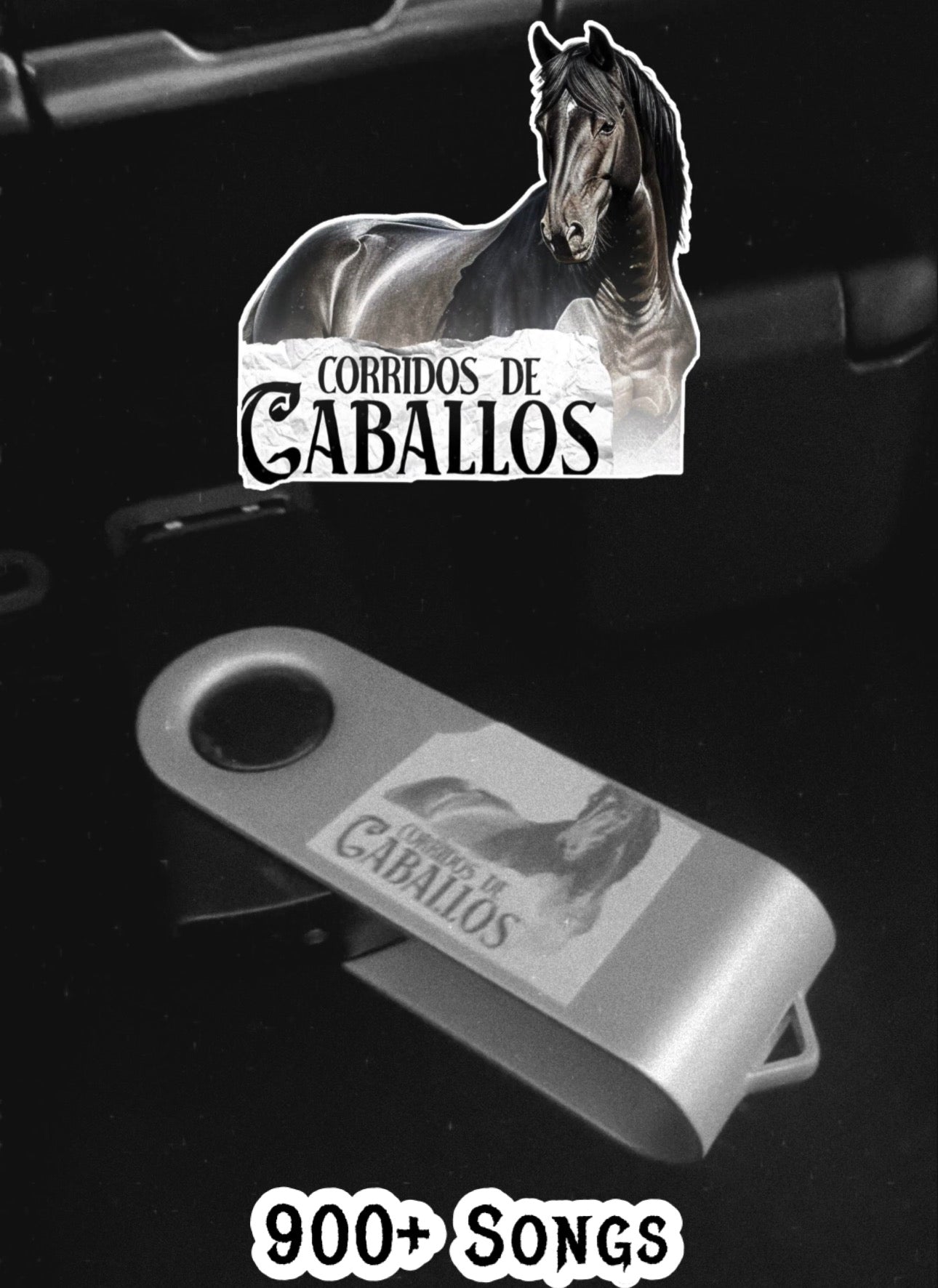 Corridos De Caballos y Rancheras USB Mix (900+ Songs)