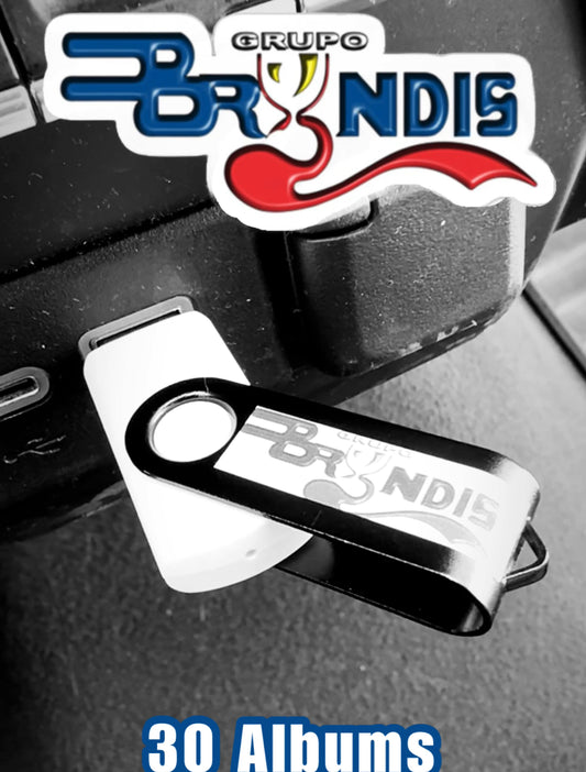 USB Grupo Bryndis
