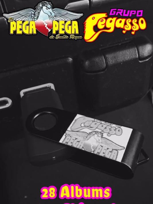 USB Grupo Pegasso x Pega Pega De Emilio Reyna