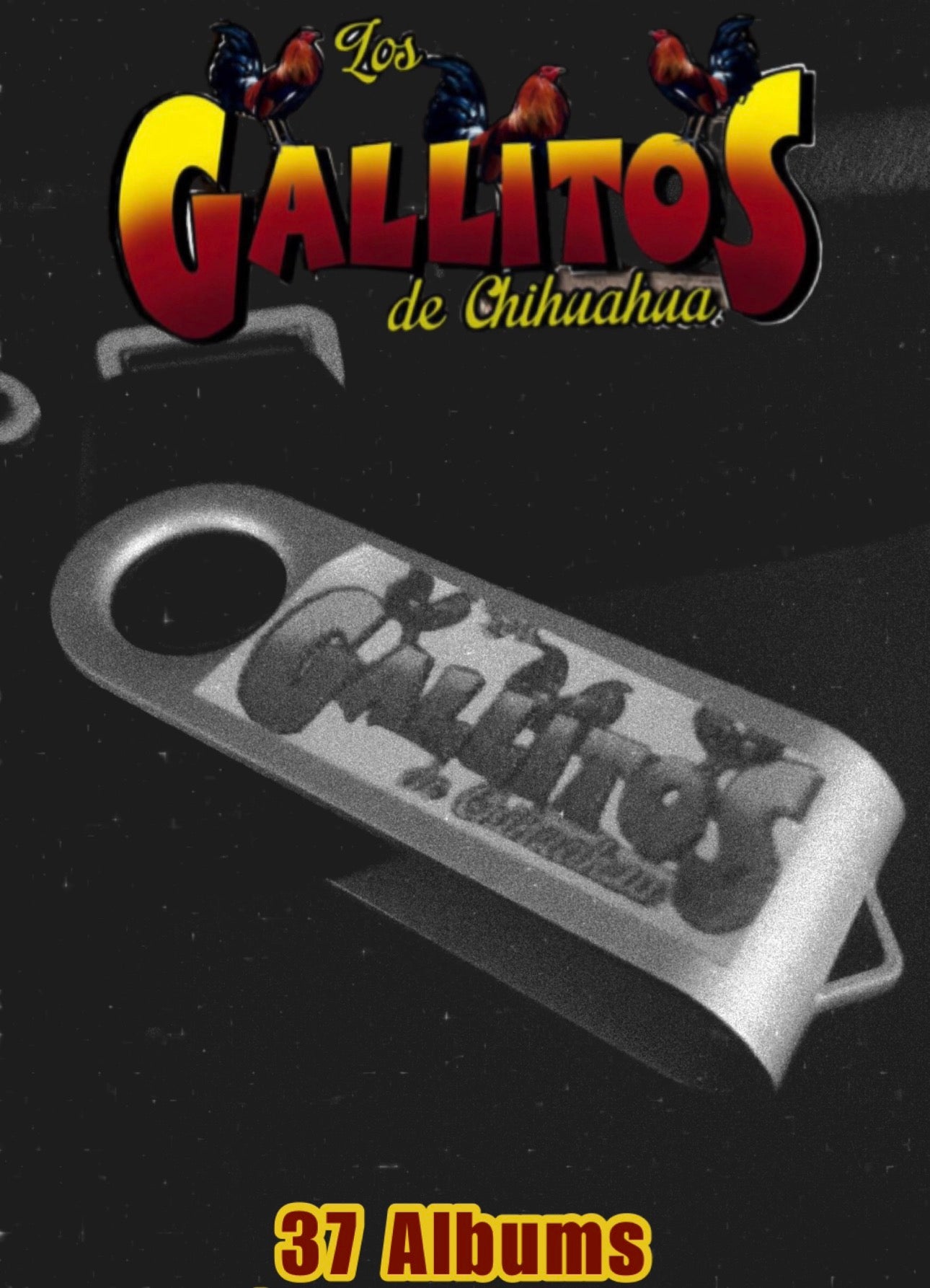 USB Los Gallitos De Chihuahua