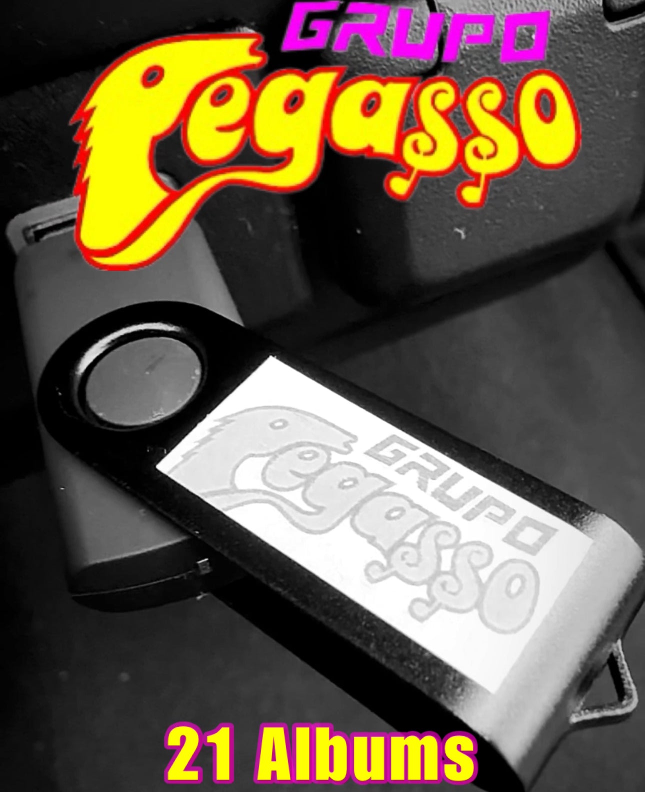 USB Grupo Pegasso x Pega Pega De Emilio Reyna