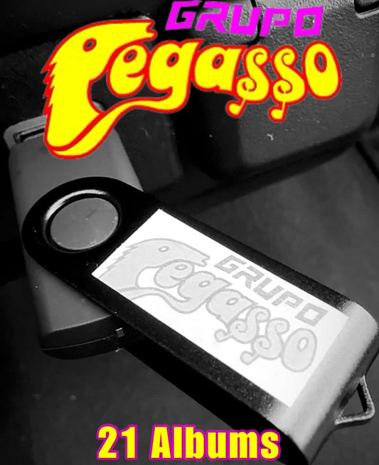 USB Grupo Pegasso x Pega Pega De Emilio Reyna